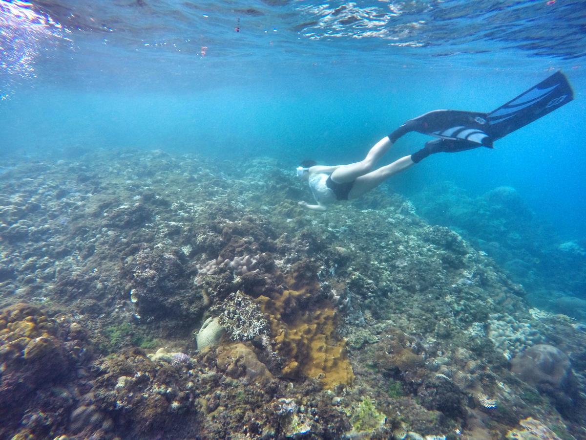 Imanuel Surfing B&B Heng-ch'un Eksteriør billede